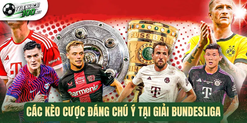 Soi Kèo Bundesliga - Cẩm Nang Cược Chuẩn Cho Fan Bóng Đá Đức 2 Các kèo cược đáng chú ý tại giải Bundesliga