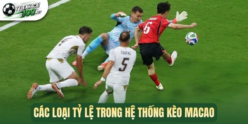 Các loại tỷ lệ trong hệ thống kèo Macao