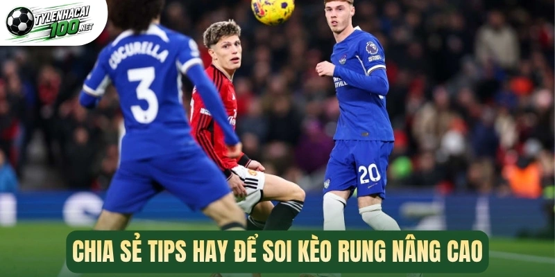 Chia sẻ tips hay để soi kèo rung nâng cao
