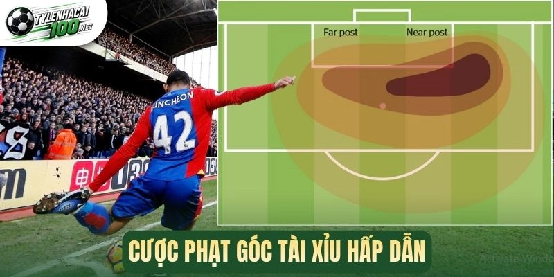Cược phạt góc tài xỉu hấp dẫn