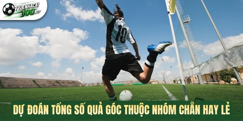 Kèo Tổng Phạt Góc - Làm Chủ Kèo Phụ Hấp Dẫn, Nhận Thưởng Cao 2 Dự đoán tổng số quả góc thuộc nhóm chẵn hay lẻ