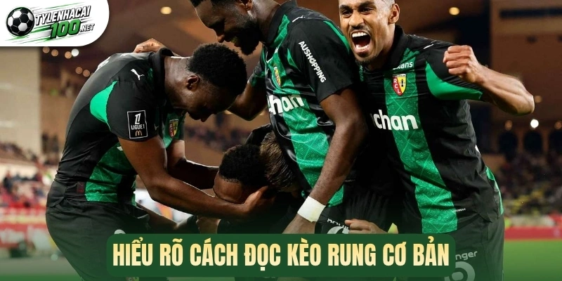 Hiểu rõ cách đọc kèo rung cơ bản