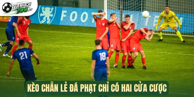 Kèo Chẵn Lẻ Đá Phạt - Bí Kíp Phân Tích Kèo Chính Xác Nhất 2 Kèo chẵn lẻ đá phạt chỉ có hai cửa cược