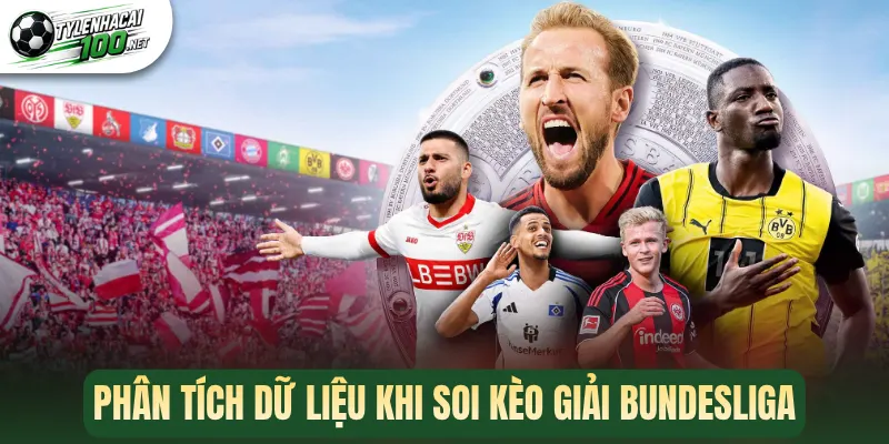 Soi Kèo Bundesliga - Cẩm Nang Cược Chuẩn Cho Fan Bóng Đá Đức 3 Phân tích dữ liệu khi soi kèo giải Bundesliga