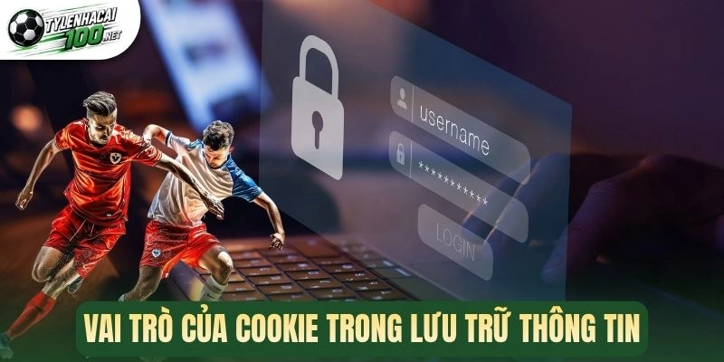 Cookie - Nâng Cao Tốc Độ Tiếp Cận Kèo Và Tăng Độ Chính Xác 3 Vai trò của cookie trong lưu trữ thông tin