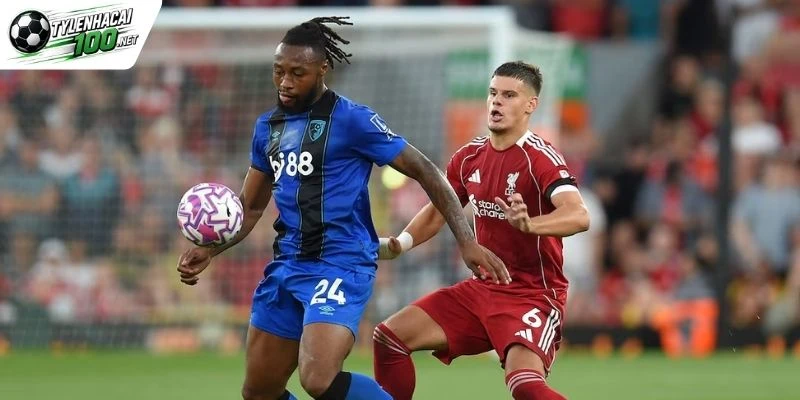 Kèo Nhà Cái Bournemouth Vs Liverpool - Nha, 20/09/2026 1 Cuộc so tài đáng chú ý
