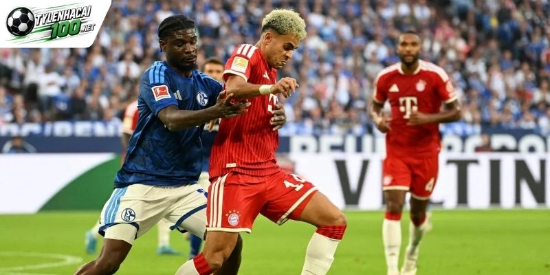 Tổng quan trước trận Elversberg và Bayern Munich